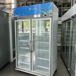 Tủ Đông 2 Cánh Kính Carrier 2DGB-FZ