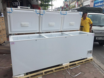 Tủ đông Sanden Intercool SNQ-0805i (Inverter) - Ảnh 3