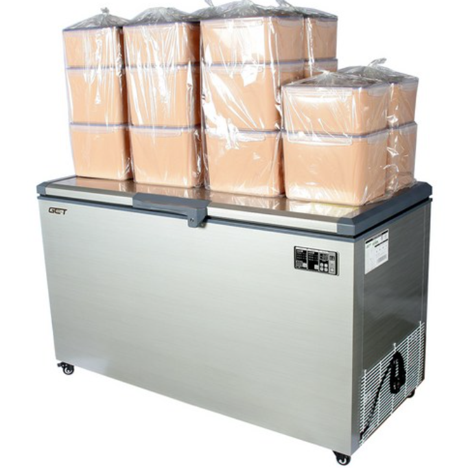 TỦ ĐÔNG ÂM SÂU BẢO QUẢN CÁ NGỪ GREENCOOLTECH GCT-250 - Ảnh 2